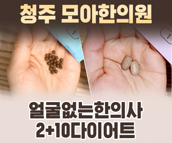 얼굴없는한의사 다이어트
